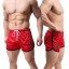 Herren-Sportshorts J968 4