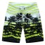 Herren-Strandshorts mit Palmen J2762 8