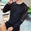 Herren-Sweatshirt A2524 2