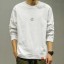 Herren-Sweatshirt F110 4