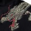 Herren-Sweatshirt mit Drachen F115 2