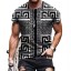 Herren-T-Shirt T2059 5