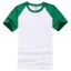 Herren-T-Shirt T2072 4