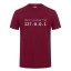 Herren-T-Shirt T2145 22