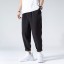 Herrenhose F1366 4