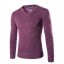 Herrenpullover F215 4