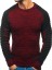 Herrenpullover F222 6