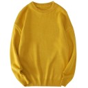 Herrenpullover F275 4