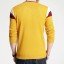 Herrenpullover F278 1