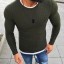 Herrenpullover F284 4