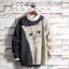 Herrenpullover Katze 5