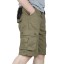 Herrenshorts Carl 1