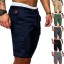 Herrenshorts F1381 3