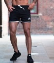 Herrenshorts George 8