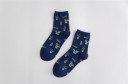 Herrensocken mit Kakteen 2