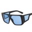 Herrensonnenbrille E2047 5