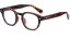 Herrensonnenbrille E2095 11