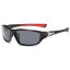 Herrensonnenbrille E2096 5