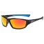 Herrensonnenbrille E2096 6