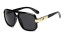 Herrensonnenbrille E2100 1