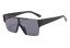 Herrensonnenbrille E2123 2