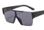 Herrensonnenbrille E2176 2