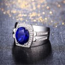 Herrering D1173 2