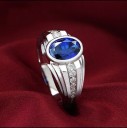 Herrering D1911 9