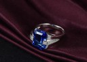 Herrering D1911 3