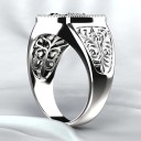 Herrering med en skorpion 2