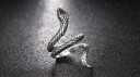Herrering med slange 1