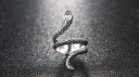 Herrering med slange 3