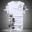 Herresæt med palmer - T-shirt og shorts J1562 4