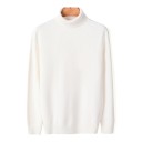 Herretrøje med rullekrave F170 7