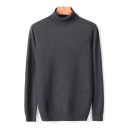 Herretrøje med rullekrave F170 14