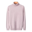 Herretrøje med rullekrave F170 10