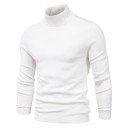 Herretrøje med rullekrave F171 5