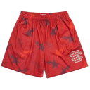 Herrshorts i mesh med sportdetaljer, lösa sommarshorts med stjärntryck, snabbtorkande shorts för träning och fritid 3
