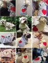 Hjerteformet tøj til katte og hunde 7