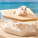 Hoekzandbad voor hamsters 13 x 13 x 8 cm Acryl en houten badkuip met opening Ø 6 cm Hygiënisch hoektoilet voor knaagdieren 3