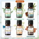 Holiday Island illóolaj készlet 6×10 ml illóolajok diffúzorhoz ajándékcsomag 165×72 mm fa és virág illatok 2