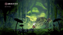 Hollow Knight: Silksong PS4 / PS5 Account 2