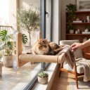 Holz-Hängematte für Katzen am Fenster 40 x 32 cm Stoffliege und Rahmen aus massivem Holz Saugnäpfe ohne Bohren Hängeliege aus Glas 4