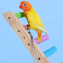 Holzleiter für Papageien 39 x 9 cm Käfigspielzeug mit 8 Stufen Naturmaterial Kletterhilfe für Wellensittiche Nymphensittiche und Kleinvögel 2