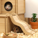 Holztreppe für Nager 21 x 8,5 cm Natürliche Treppe für Hamster, Meerschweinchen, Ratten und andere kleine Haustiere Holz Käfigdekoration 3