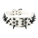 Hondenhalsband met spikes 2