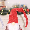 Housse de bouteille lutin 4