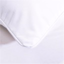 Housses de coussin - Flamants 4