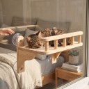 Houten platform voor katten op het raam met leuning 40 x 32 cm Zuignappen zonder boren Massief hout Uitzichtplank voor glas en gladde muren 5