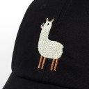 Hue med en lama 3